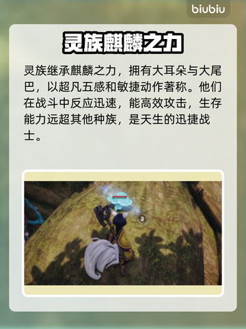 剑灵2🔥灵族超强解析来了！新手必看⚡截图2