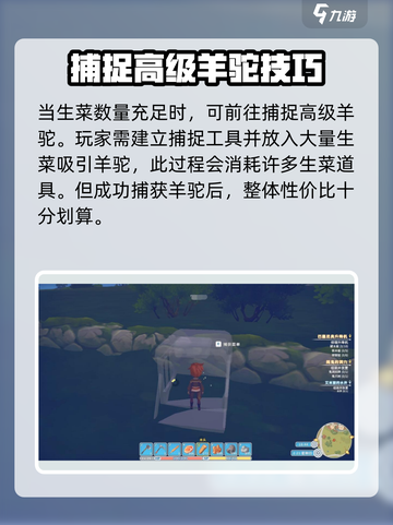 波西亚时光生菜怎么获得介绍截图5
