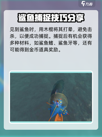 创造吧我们的星球🎉鲨鱼获取攻略＆出现期数大揭秘！截图4