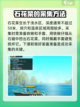 潜水员戴夫石花菜在哪介绍截图2