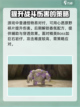 无限暖暖打怪攻略介绍截图2
