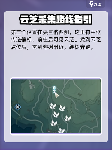 鸣潮🔥云芝具体位置大曝光！速来打卡✔截图4