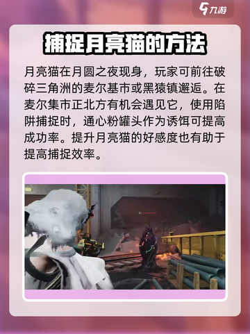 七日世界月亮猫获取方式介绍介绍截图3