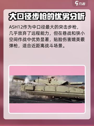 三角洲行动手游突击步枪有哪些介绍截图4