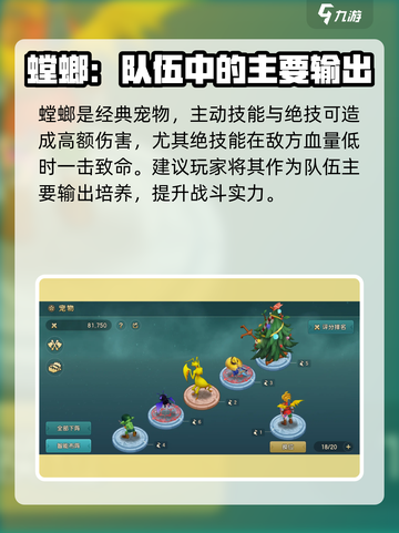 魔力宝贝复兴版🔥宠物选择推荐来啦！截图3