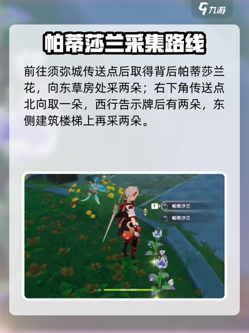 原神✨帕蒂莎兰全采集点曝光！🌿截图3