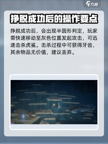 潜水员戴夫虎鲨在哪介绍截图4