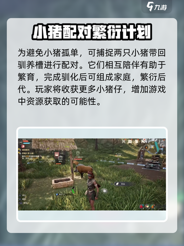 荒野起源养猪怎么养介绍截图5