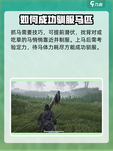 燕云十六声🔥：马匹获取全攻略✨截图4