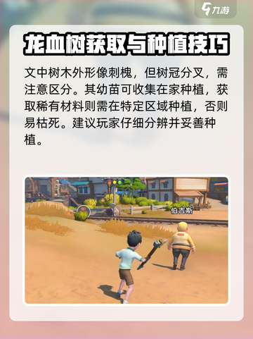 沙石镇时光龙血树怎么获得介绍截图3