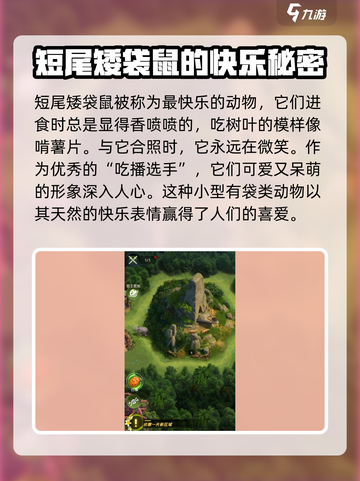 野兽领主新世界短尾矮袋鼠怎么样介绍截图4