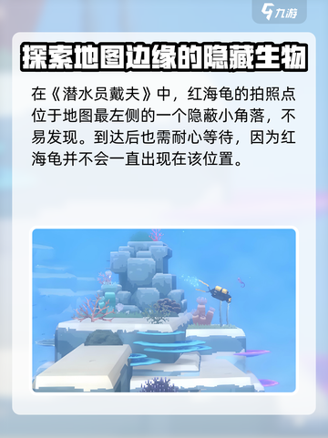 潜水员戴夫📖海龟拍照点位置全攻略！🔥截图2
