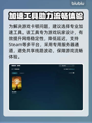 黑山延迟救星⚡游戏加速工具大公开！🚀截图4