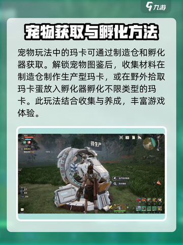 荒野起源🔥超全玩法揭秘，游戏党必看！截图2