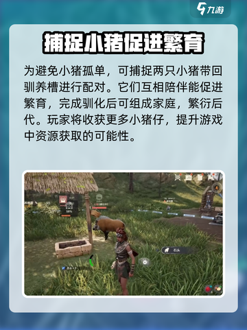 荒野起源养猪怎么养介绍截图5