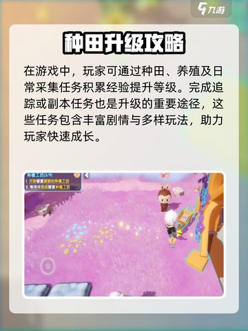 《梦想家园》速升攻略🔥🎮截图2