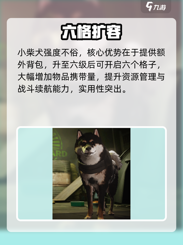 萤火突击摩卡🔥免费获取神装！截图2