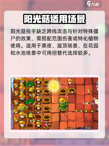 🌱阳光菇投手逆天改命！植物大战僵尸杂交版截图4