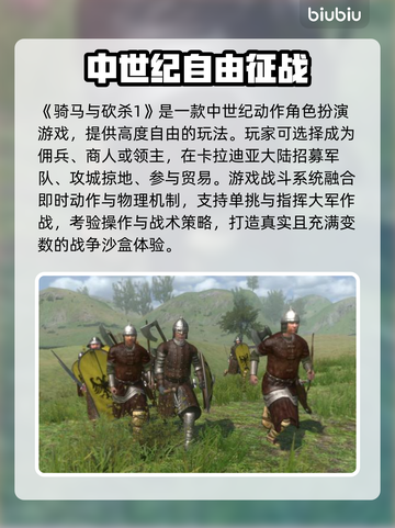 🎮骑马与砍杀延迟太高？一招解决！截图2