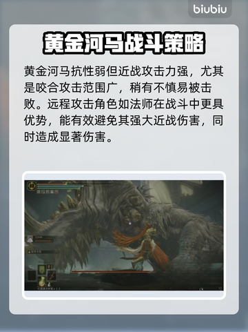 艾尔登法环🔥黄金河马打法揭秘，轻松通关秘籍！🎮截图2