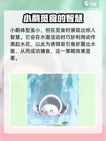 洛克王国世界小鹬怎么样介绍截图4