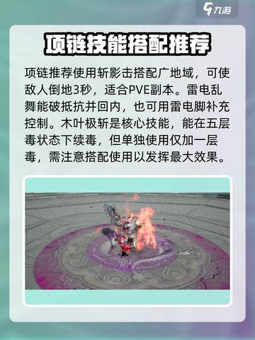 剑灵怀旧服🔥刺客技能搭配推荐来啦！✨截图3
