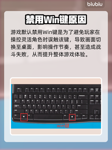 🎮解限机Win键失灵？速看修复攻略！💥截图2