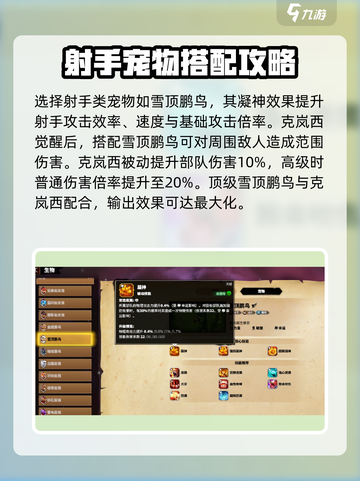 万龙觉醒🔥克岚西宠物最强搭配攻略来啦！截图2