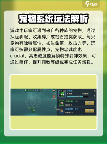魔力宝贝复兴版🔥宠物系统全面解析来了！截图2