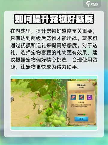万龙觉醒宠物好感度的培养方式介绍截图2
