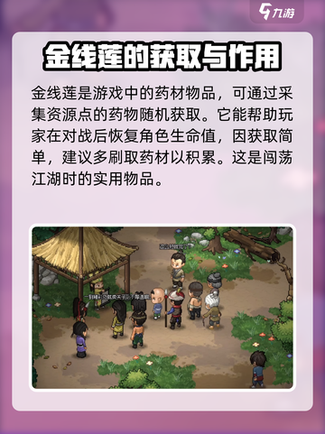 大侠立志传🔥金线莲获取攻略，快速入手秘籍！截图2