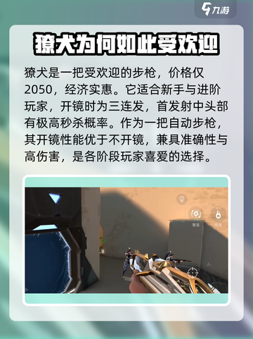 无畏契约手游什么枪好用介绍截图2