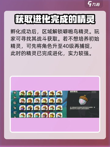 洛克王国世界噼啪鸟怎么获取介绍截图4