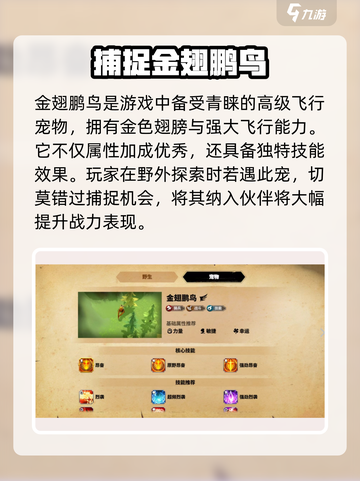 万龙觉醒金翅鹏鸟怎么样介绍截图2
