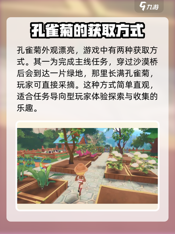 波西亚时光孔雀菊盆栽怎么获得介绍截图2