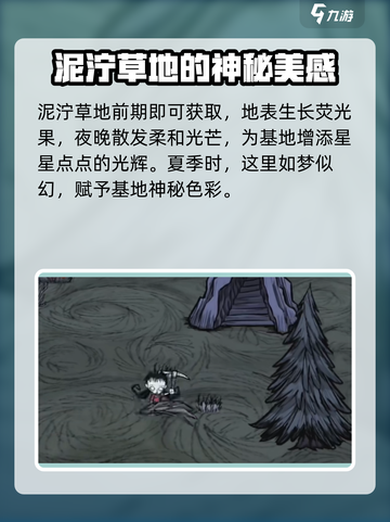 饥荒联机版好看的地皮有哪些介绍截图2