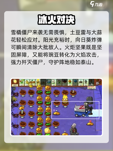 🔥植物大战僵尸杂交版第9关秒过！💥截图3