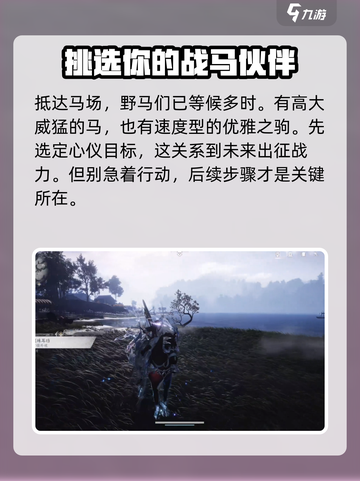 燕云十六声🔥马匹抓捕超全攻略💡截图3