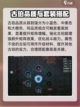 荒野起源玛卡养成攻略介绍截图4