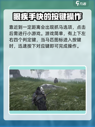 燕云十六声马怎么抓介绍截图3