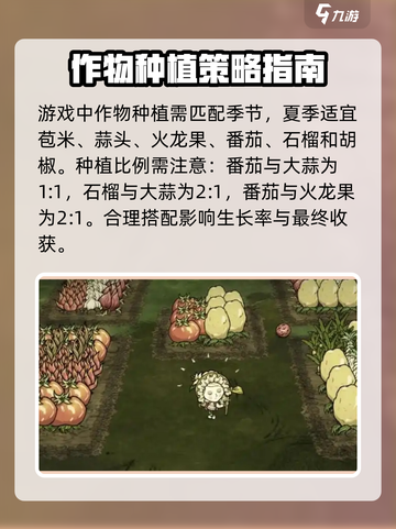 饥荒联机版巨型农作物如何种植介绍截图2