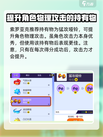 宝可梦大集结索罗亚克持有物选什么介绍截图2