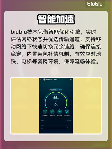 依露希尔国际服闪退？速用这款加速器🔥截图5