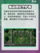 再刷一把2金色传说支线怎么做介绍截图4