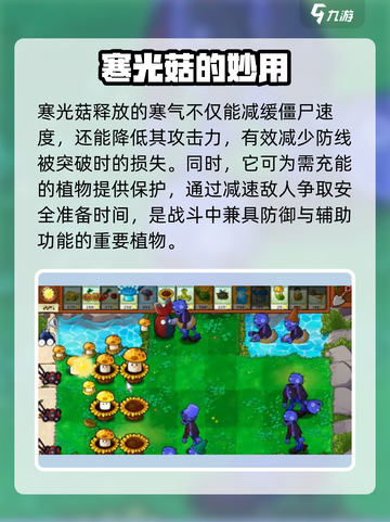 🍄植物大战僵尸：寒光菇太离谱！截图3