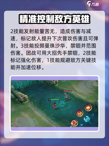 决胜巅峰🔥英雄大全图鉴来了！快收藏🎮截图3