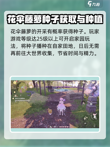 无限暖暖：花伞藤萝🔥超美搭配不容错过！截图3