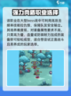 英雄冒险团🔥平民最强职业曝光！💎截图3