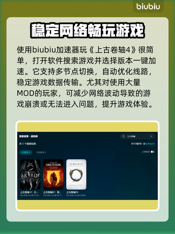上古卷轴4进不去？这个加速器🔥搞定！🚀截图4