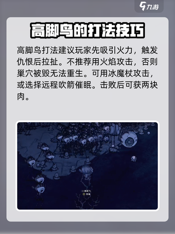 饥荒新家园高教鸟怎么打介绍截图4